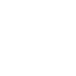 Long-Form Videos Icon