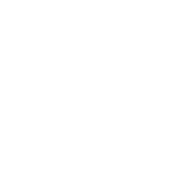 Short-Form Videos Icon
